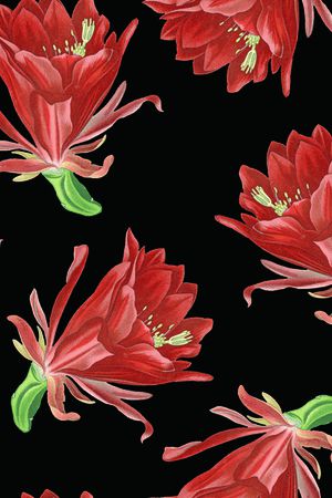 仙人掌花卉印花华亿平台图片