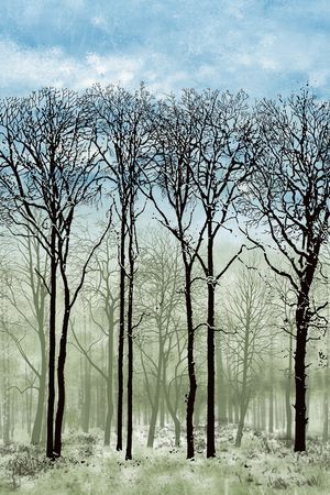 风景景观印花华亿平台图片