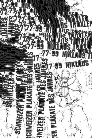 字母印花华亿平台图片