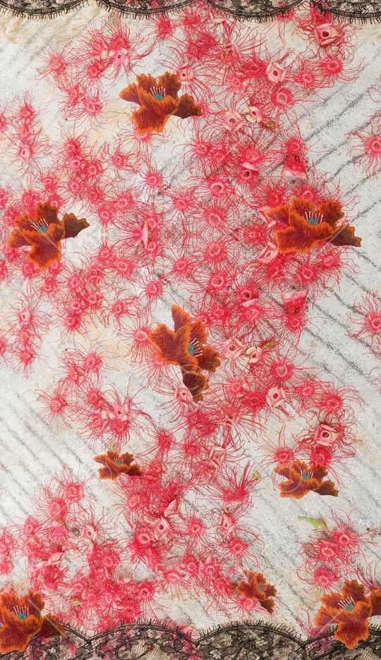 深圳印花华亿平台图片