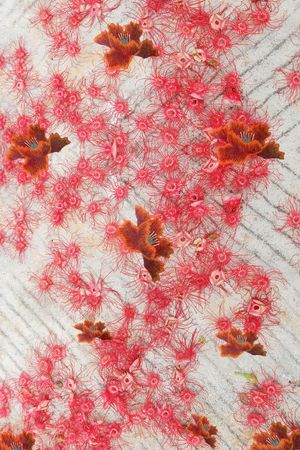 深圳印花华亿平台图片