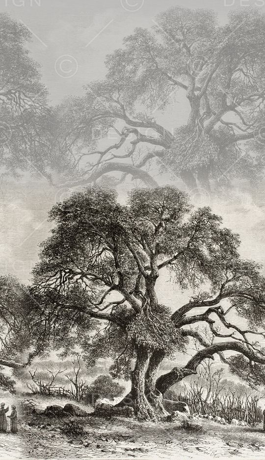 中国风定位花印花华亿平台图片