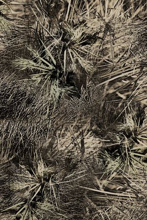 迷彩印花华亿平台图片