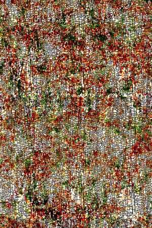 男装印花华亿平台图片