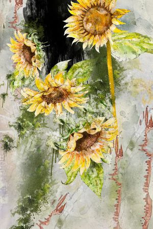 leopard印花华亿平台图片