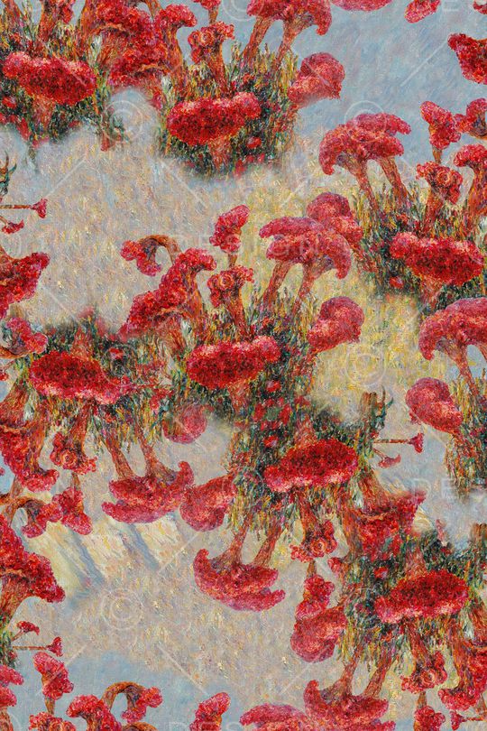 数码华亿平台印花华亿平台图片