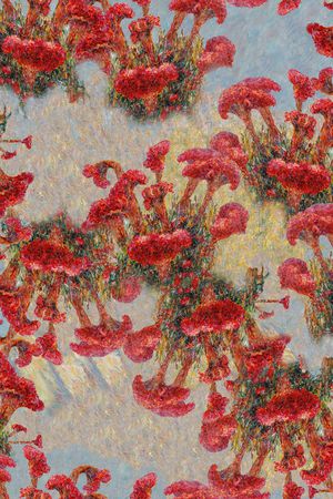 数码华亿平台印花华亿平台图片