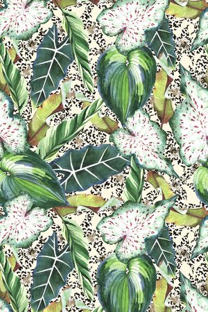 女装印花华亿平台图片