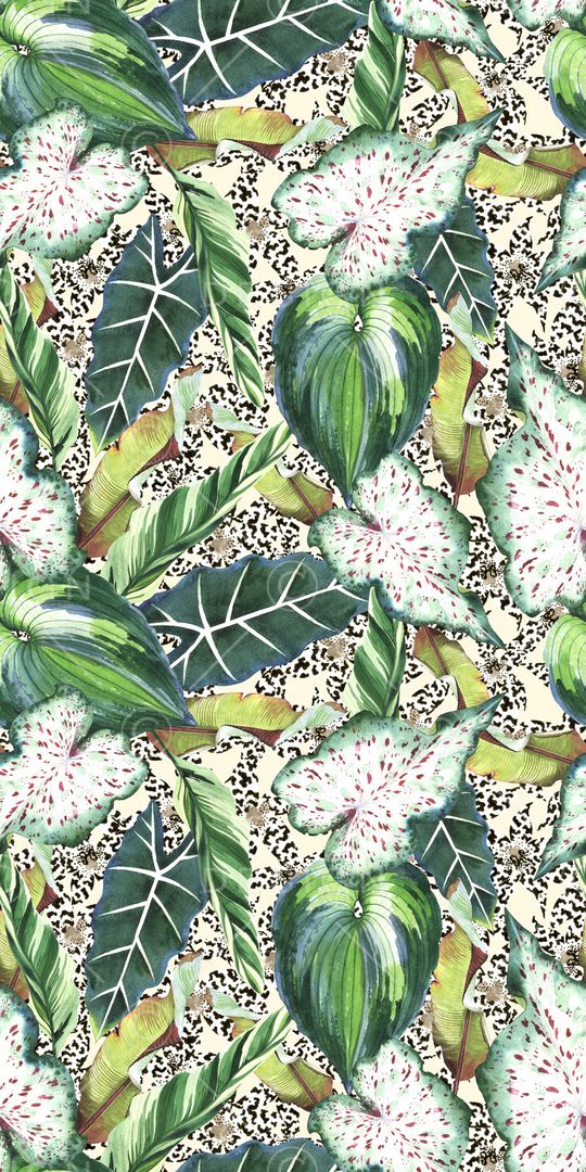 女装印花华亿平台图片