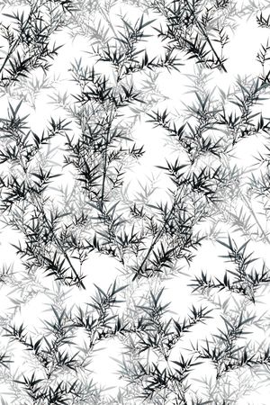 男装印花华亿平台图片