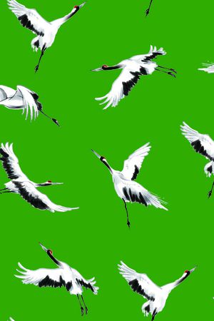 清爽底花卉印花华亿平台图片