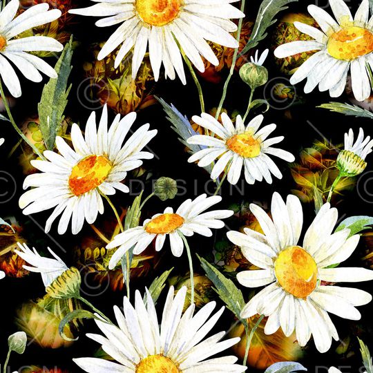 女装印花华亿平台图片