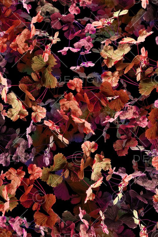 大牌风印花华亿平台图片