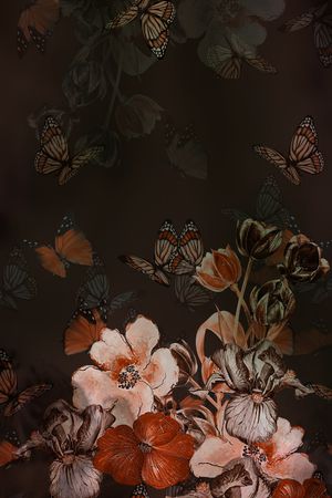 蝴蝶印花华亿平台图片