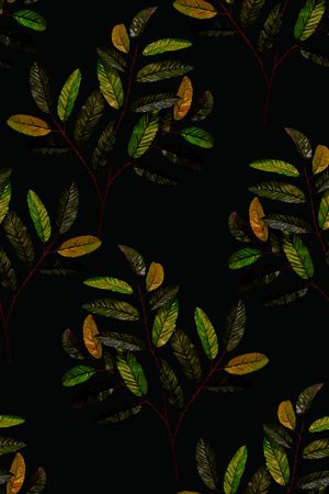 女装印花华亿平台图片