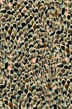 数码华亿平台印花华亿平台图片