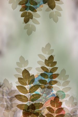 大牌风印花华亿平台图片