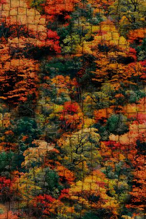 抽象印花华亿平台图片