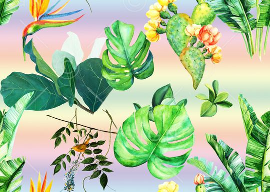 春夏华亿平台印花华亿平台图片