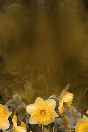 大牌风印花华亿平台图片