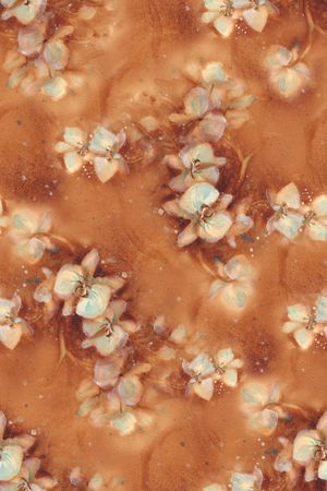 水彩花卉印花华亿平台图片