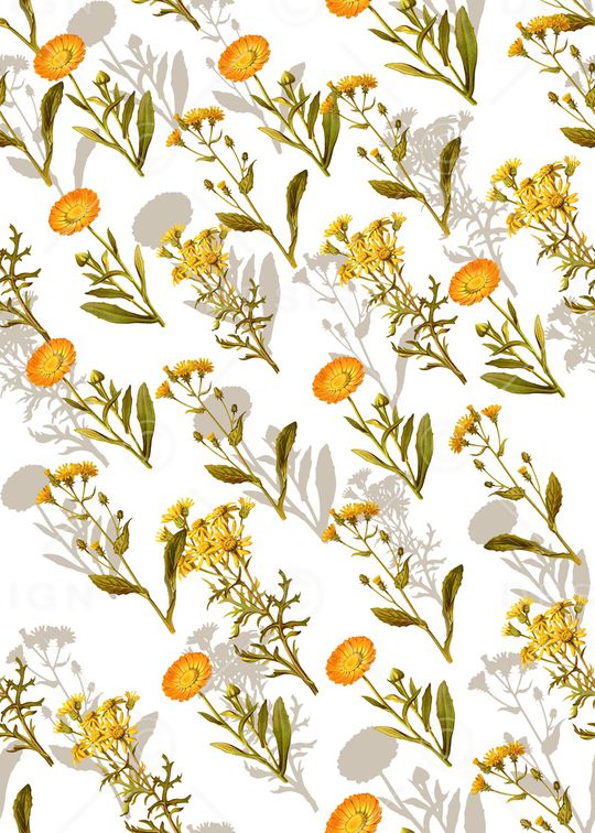 清爽底花卉印花华亿平台图片