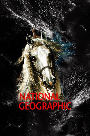 字母印花华亿平台图片