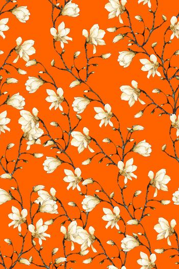 1212762-2019-05-22-4vv