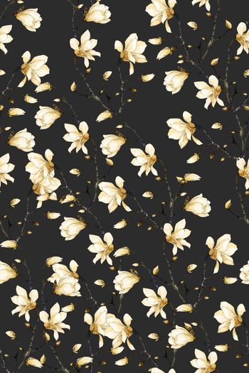 1212763-2019-05-22-4b