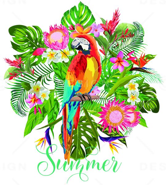 男装印花华亿平台图片