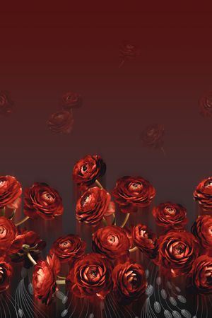 渐变印花华亿平台图片