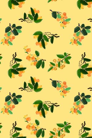 枇杷印花华亿平台图片