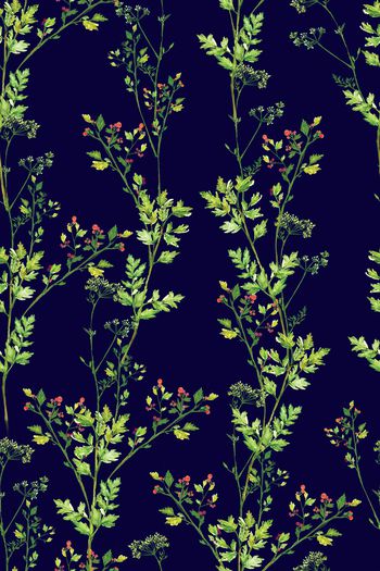 1213249-蓝-2019-05-23-b4