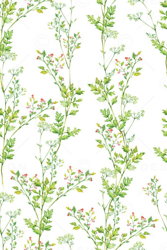 女装印花华亿平台图片