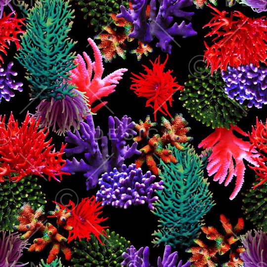 女装印花华亿平台图片