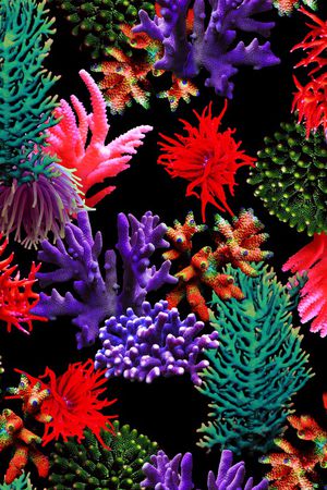 女装印花华亿平台图片