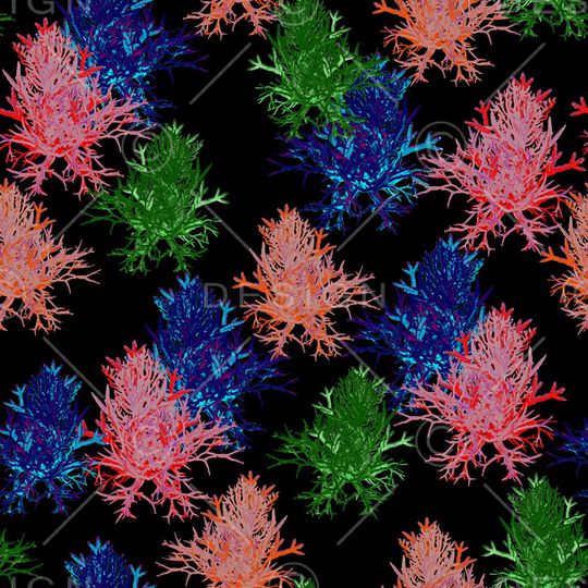 女装印花华亿平台图片