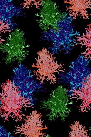 女装印花华亿平台图片