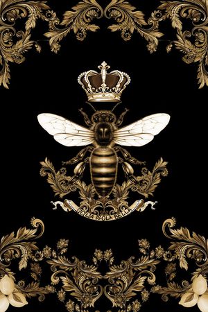 字母印花华亿平台图片