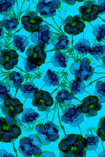 1213693-蓝2019-05-24-b1