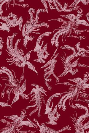 衬衫印花华亿平台图片