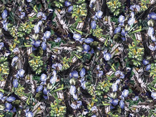 印花华亿平台图片