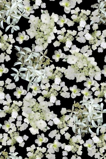 1214803-蓝2019-05-27-1A