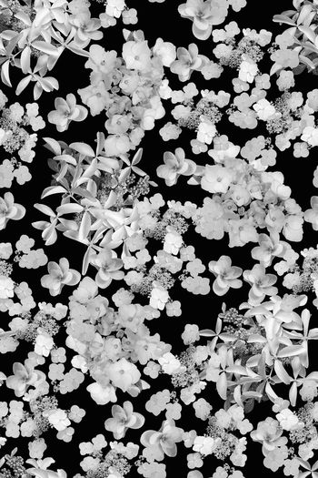 1214805-蓝2019-05-27-1c