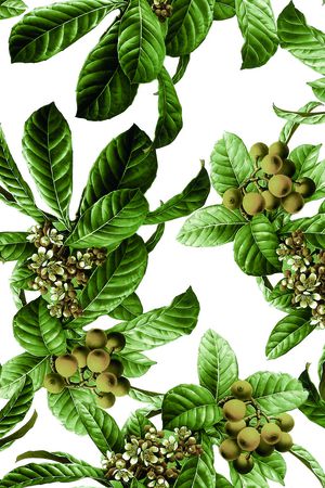 写实华亿平台印花华亿平台图片