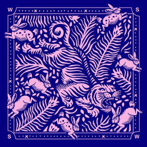 创意印花华亿平台图片