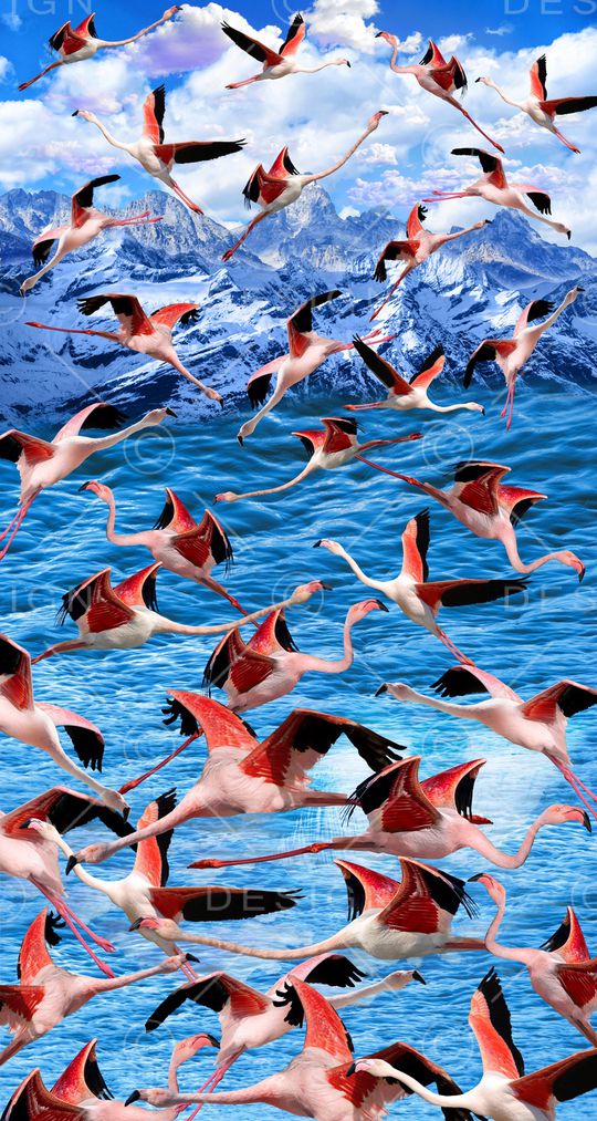 火烈鸟印花华亿平台图片