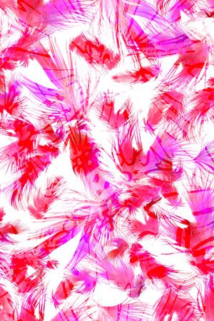 女装印花华亿平台图片