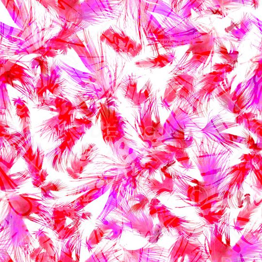 女装印花华亿平台图片