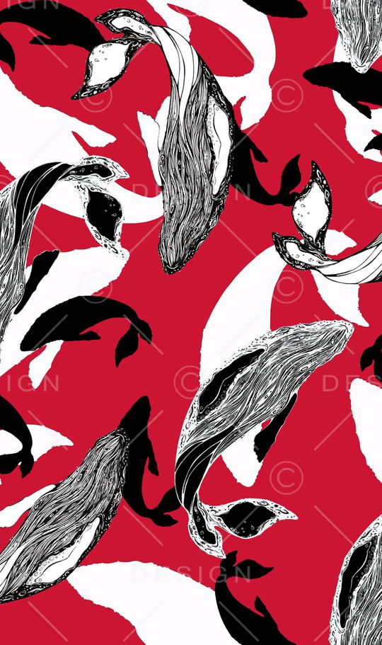 鲸鱼印花华亿平台图片